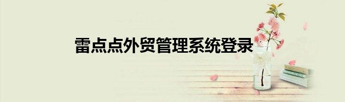 雷点点外贸管理系统登录