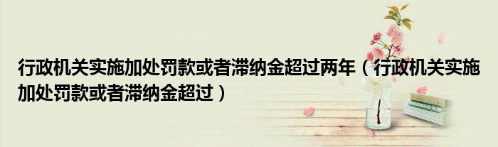 行政机关实施加处罚款或者滞纳金超过两年（行政机关实施加处罚款或者滞纳金超过）