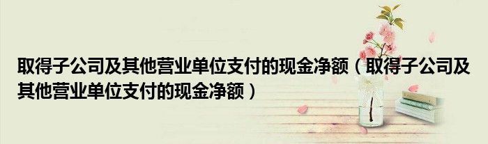 取得子公司及其他营业单位支付的现金净额（取得子公司及其他营业单位支付的现金净额）