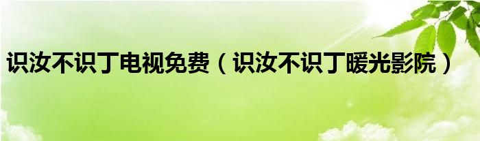 识汝不识丁电视免费（识汝不识丁暖光影院）