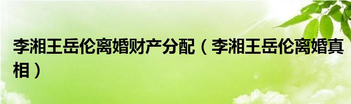 李湘王岳伦离婚财产分配（李湘王岳伦离婚真相）