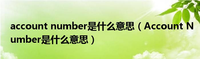 account number是什么意思（Account Number是什么意思）