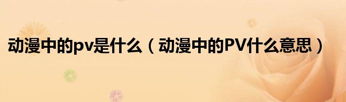 动漫中的pv是什么（动漫中的PV什么意思）