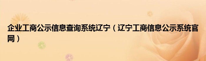 企业工商公示信息查询系统辽宁（辽宁工商信息公示系统官网）