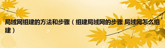 局域网组建的方法和步骤（组建局域网的步骤 局域网怎么组建）