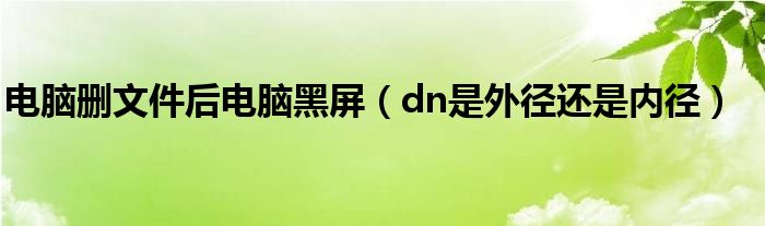 电脑删文件后电脑黑屏（dn是外径还是内径）