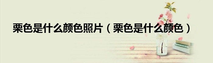 栗色是什么颜色照片（栗色是什么颜色）