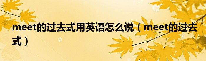 meet的过去式用英语怎么说（meet的过去式）