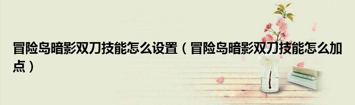 冒险岛暗影双刀技能怎么设置（冒险岛暗影双刀技能怎么加点）