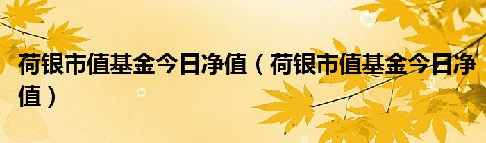 荷银市值基金今日净值（荷银市值基金今日净值）