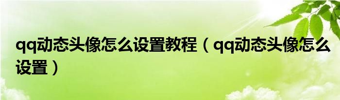 qq动态头像怎么设置教程（qq动态头像怎么设置）