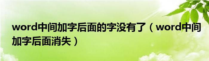 word中间加字后面的字没有了（word中间加字后面消失）