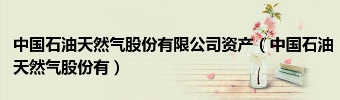 中国石油天然气股份有限公司资产（中国石油天然气股份有）