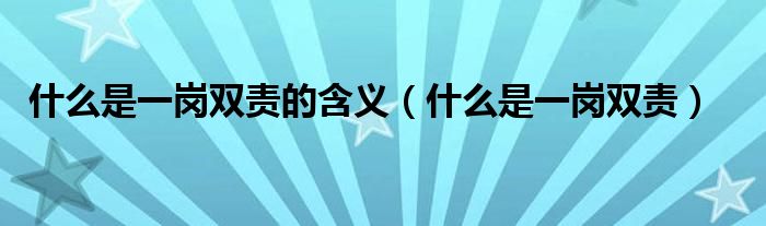 什么是一岗双责的含义（什么是一岗双责）