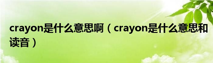 crayon是什么意思啊（crayon是什么意思和读音）