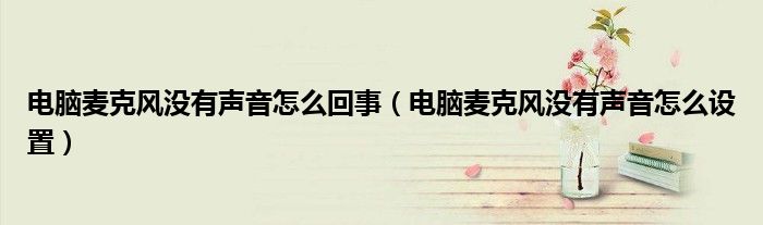 电脑麦克风没有声音怎么回事（电脑麦克风没有声音怎么设置）