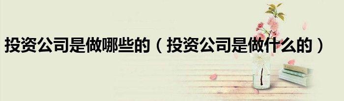 投资公司是做哪些的（投资公司是做什么的）