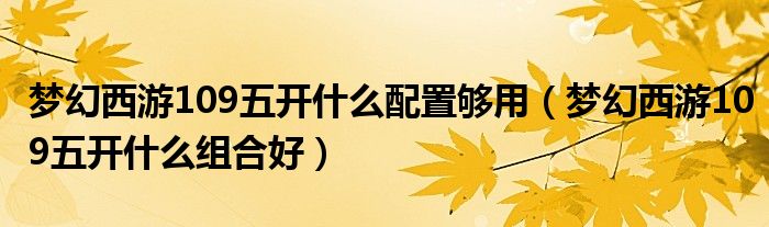 梦幻西游109五开什么配置够用（梦幻西游109五开什么组合好）