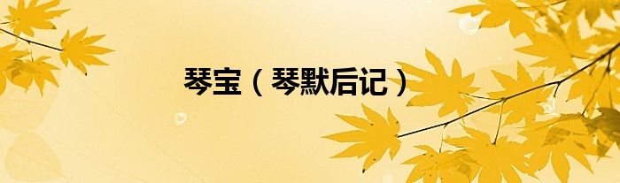 琴宝（琴默后记）