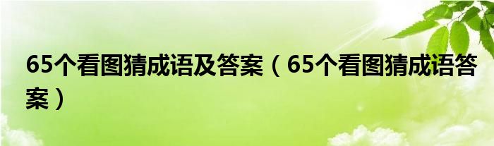 65个看图猜成语及答案（65个看图猜成语答案）