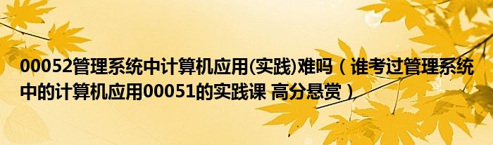 00052管理系统中计算机应用(实践)难吗（谁考过管理系统中的计算机应用00051的实践课 高分悬赏）