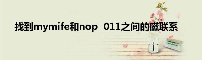 找到mymife和nop  011之间的磁联系