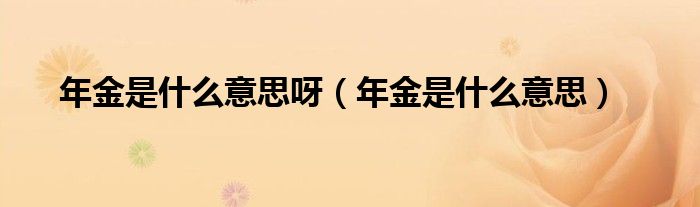 年金是什么意思呀（年金是什么意思）