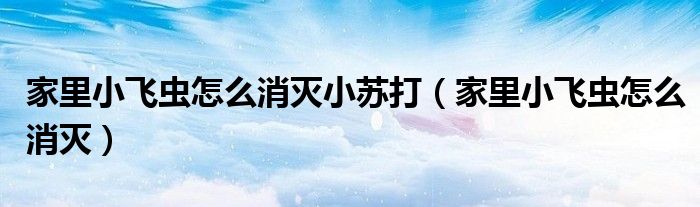 家里小飞虫怎么消灭小苏打（家里小飞虫怎么消灭）