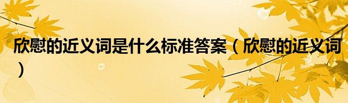 欣慰的近义词是什么标准答案（欣慰的近义词）