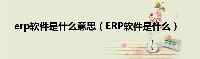 erp软件是什么意思（ERP软件是什么）