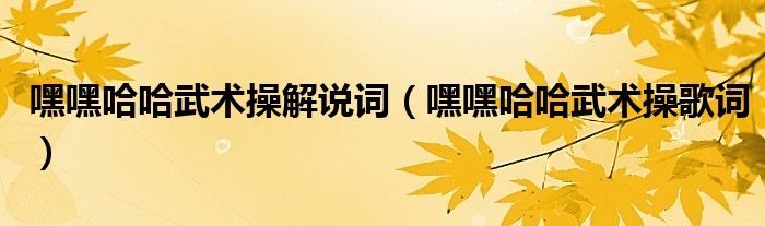嘿嘿哈哈武术操解说词（嘿嘿哈哈武术操歌词）