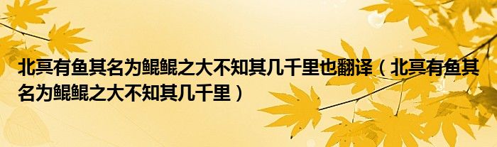北冥有鱼其名为鲲鲲之大不知其几千里也翻译（北冥有鱼其名为鲲鲲之大不知其几千里）