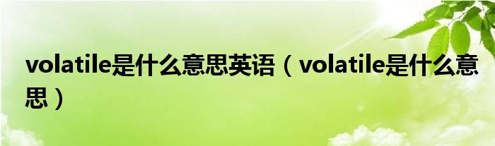 volatile是什么意思英语（volatile是什么意思）
