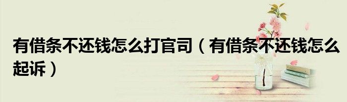 有借条不还钱怎么打官司（有借条不还钱怎么起诉）