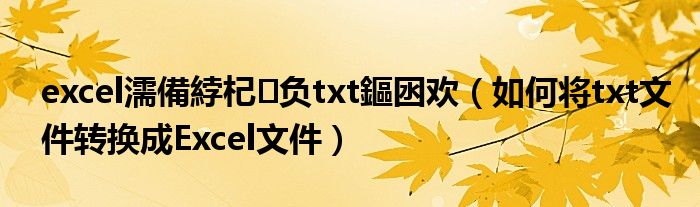excel濡備綍杞负txt鏂囦欢（如何将txt文件转换成Excel文件）