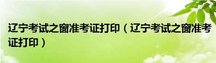 辽宁考试之窗准考证打印（辽宁考试之窗准考证打印）