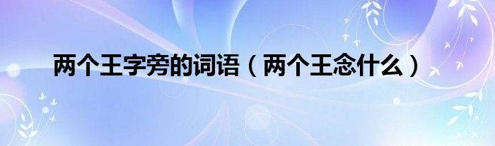 两个王字旁的词语（两个王念什么）