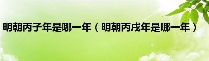 明朝丙子年是哪一年（明朝丙戌年是哪一年）