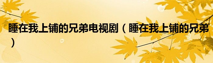 睡在我上铺的兄弟电视剧（睡在我上铺的兄弟）