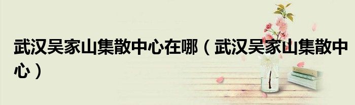 武汉吴家山集散中心在哪（武汉吴家山集散中心）
