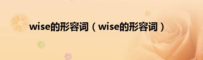 wise的形容词（wise的形容词）