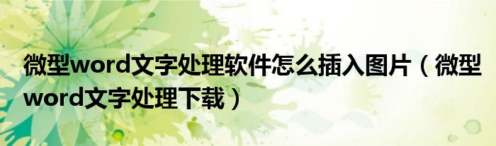 微型word文字处理软件怎么插入图片（微型word文字处理下载）