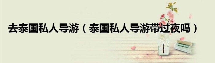去泰国私人导游（泰国私人导游带过夜吗）
