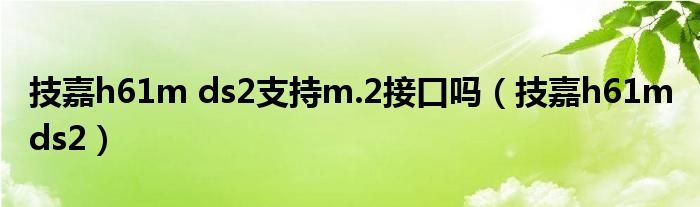 技嘉h61m ds2支持m.2接口吗（技嘉h61m ds2）