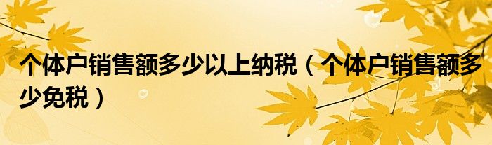 个体户销售额多少以上纳税（个体户销售额多少免税）