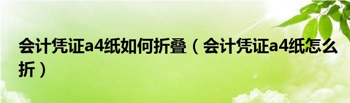会计凭证a4纸如何折叠（会计凭证a4纸怎么折）