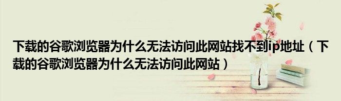 下载的谷歌浏览器为什么无法访问此网站找不到ip地址（下载的谷歌浏览器为什么无法访问此网站）