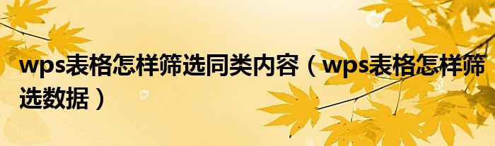 wps表格怎样筛选同类内容（wps表格怎样筛选数据）