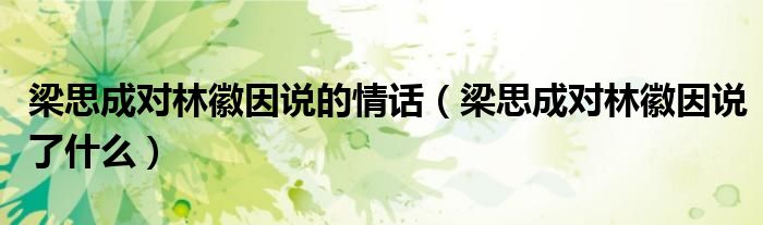 梁思成对林徽因说的情话（梁思成对林徽因说了什么）