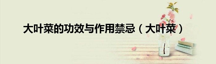 大叶菜的功效与作用禁忌（大叶菜）